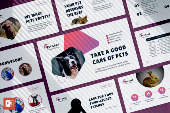 Download Pet Grooming Care PowerPoint Template - Care Collection